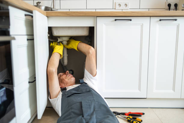 Best Commercial Plumbing Services  in Edmore, MI