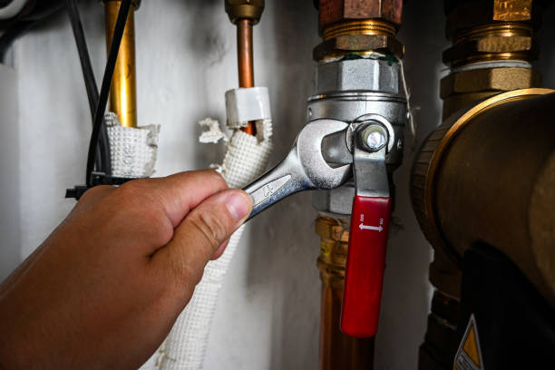 Best Sewer Line Repair  in Edmore, MI